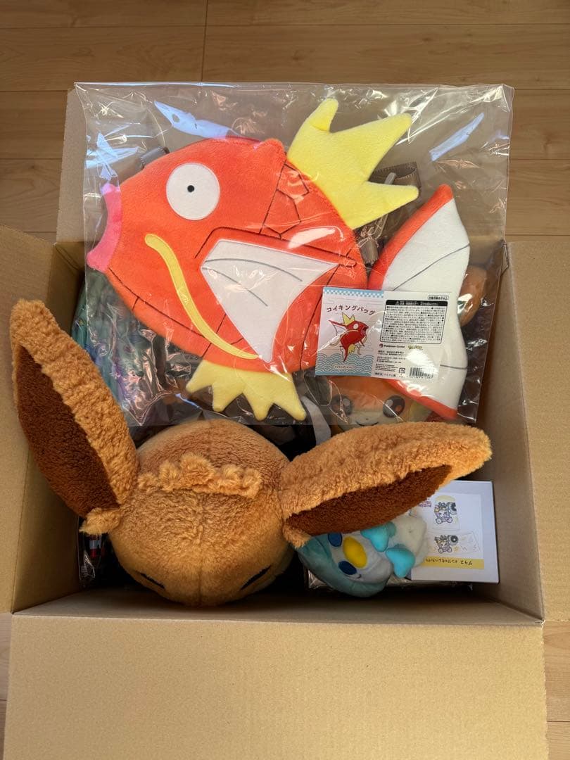 ピカピカボックス2026 新品