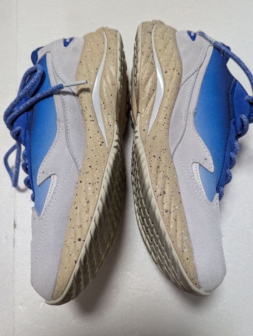 永井博×ミズノ　ウェーブライダー　ベータ