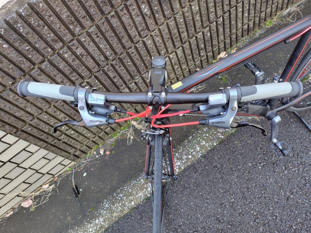 オルベア アクア グレー/レッド