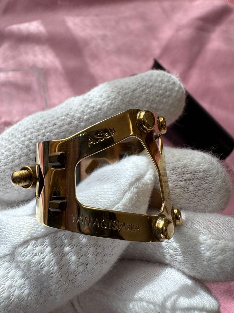 ヤナギサワ ヤニーシクス アルトサックス