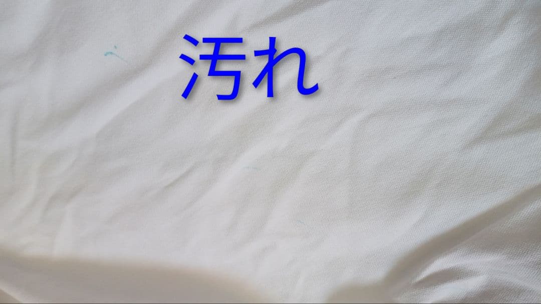 ※けるののす※【船木誠勝　直筆サイン入り！】