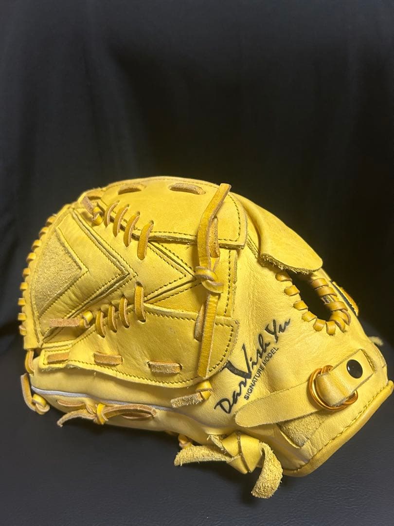 Nike ナイキ軟式一般用グローブ 左利き用