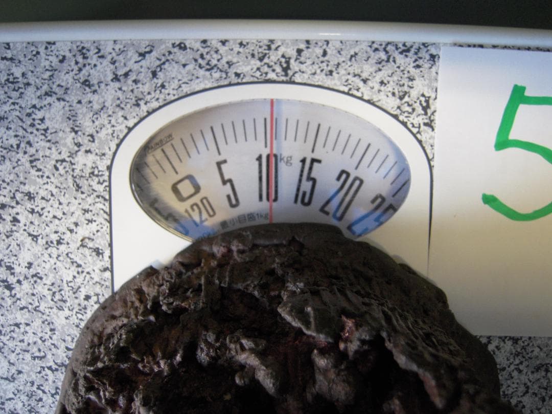 nori① 銅滴 #5 #3 #6