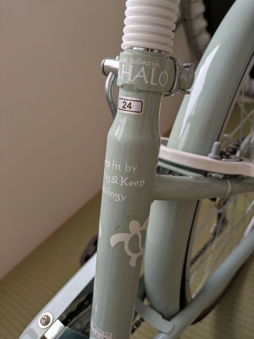 【ありちゃん】子供用自転車 ミントグリーン　マハロジュニア