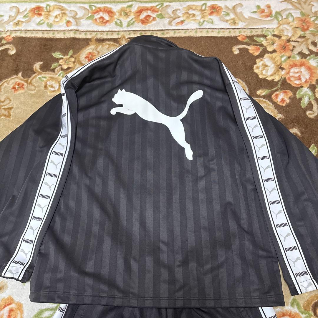 PUMA ストライプブラウンジャージ上下セット 希少カラー