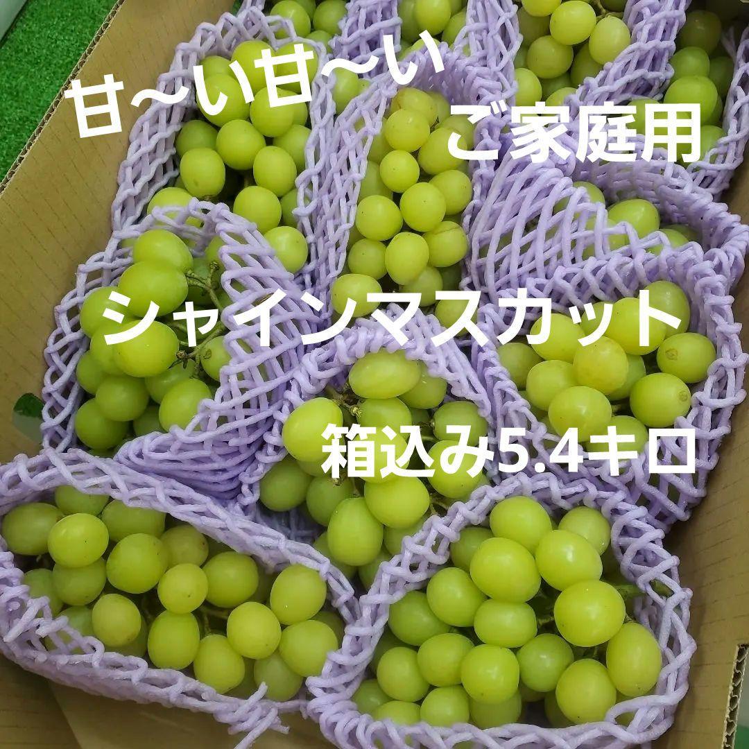 6️⃣ 山梨県産 シャインマスカット １２房入り 箱込み5.4キロ