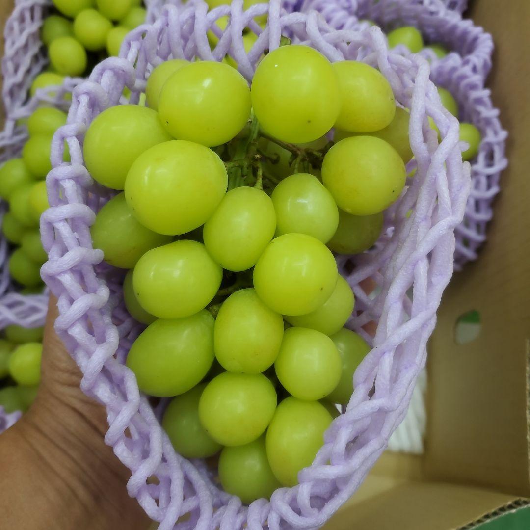 6️⃣ 山梨県産 シャインマスカット １２房入り 箱込み5.4キロ