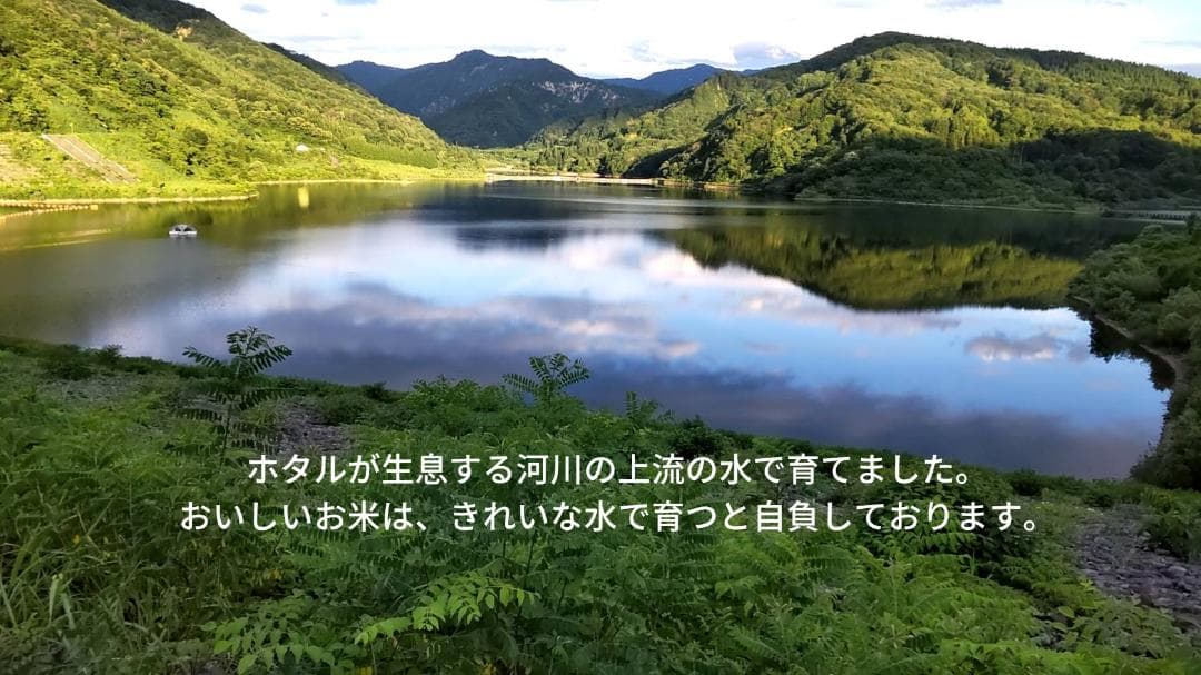 令和７年新潟産コシヒカリ　精米18Kg 色選ずみ