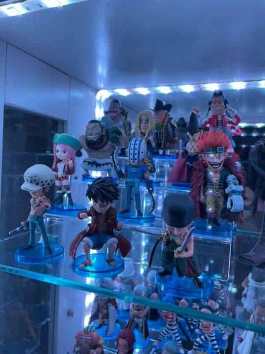 ワンピース　フィギュア　ワーコレ　ONE PIECEカード　ワールドコレクタブル