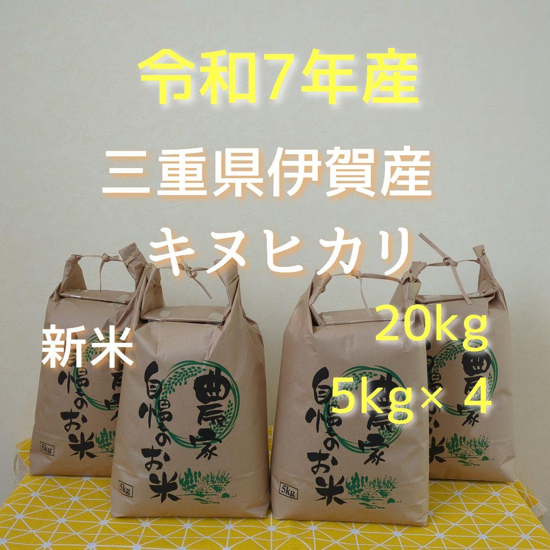 令和7年産三重県伊賀産キヌヒカリ20kg普通精米（5kg×4）