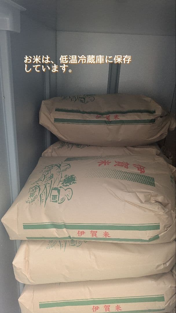 令和7年産三重県伊賀産キヌヒカリ20kg普通精米（5kg×4）