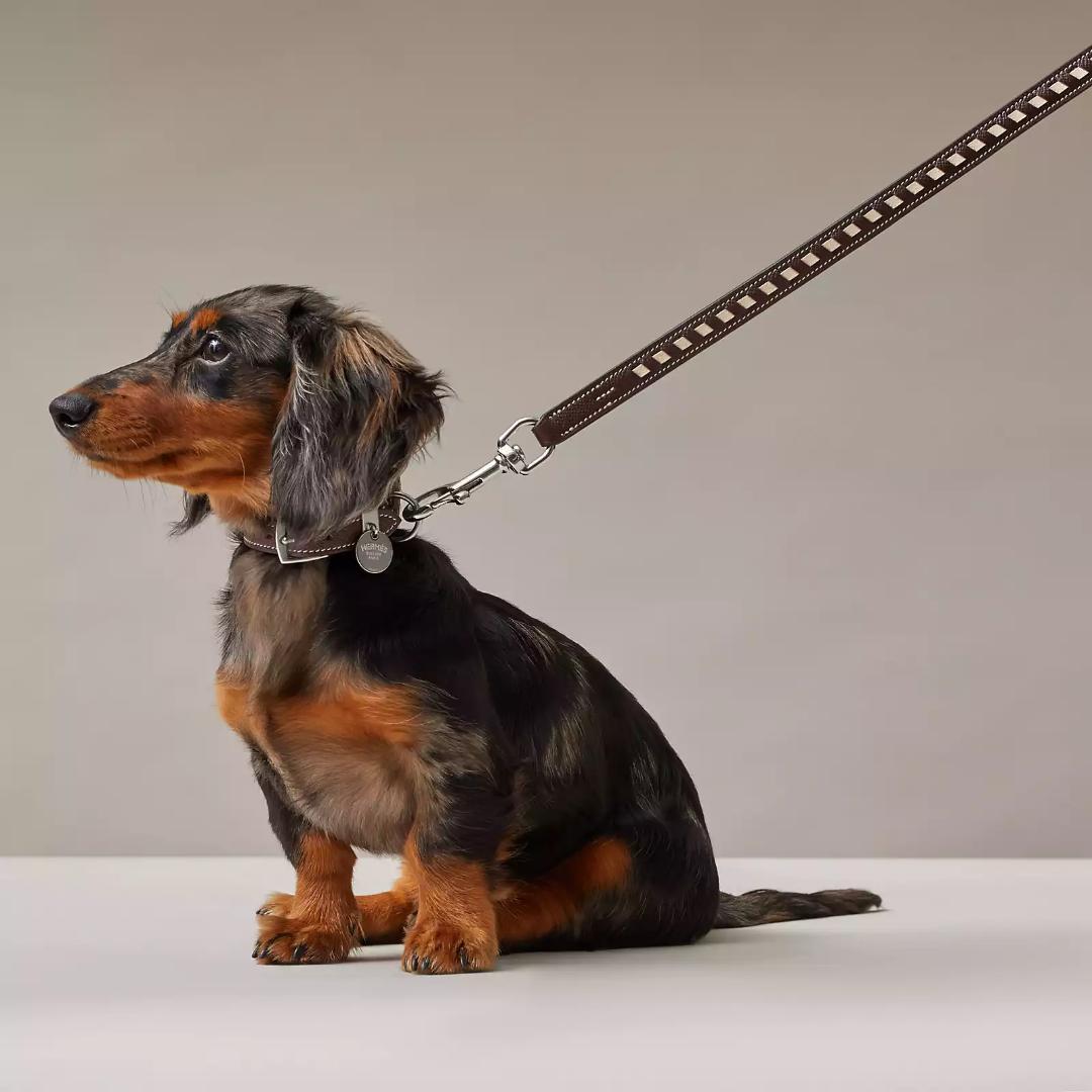 HERMES エルメス　犬用リード 《トレス》 スリム