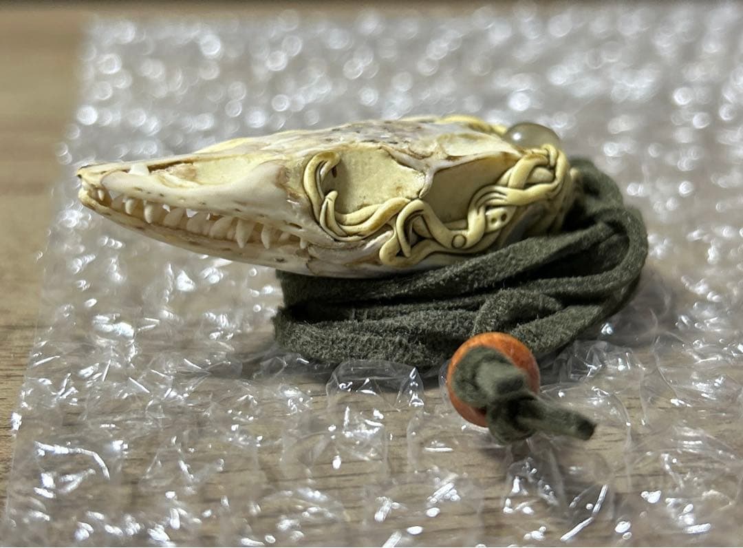 ミドリホソオオトカゲ 頭骨アクセサリー 標本 爬虫類 ネックレス 骨 標本 ヘビ