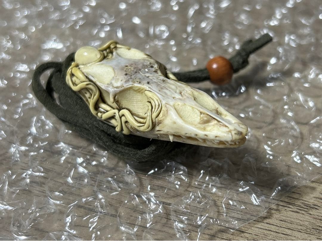 ミドリホソオオトカゲ 頭骨アクセサリー 標本 爬虫類 ネックレス 骨 標本 ヘビ
