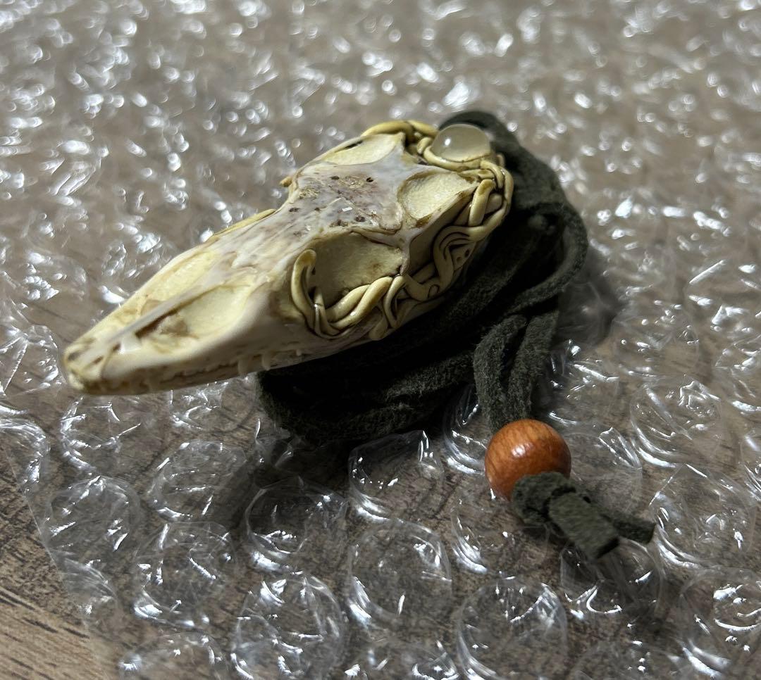 ミドリホソオオトカゲ 頭骨アクセサリー 標本 爬虫類 ネックレス 骨 標本 ヘビ