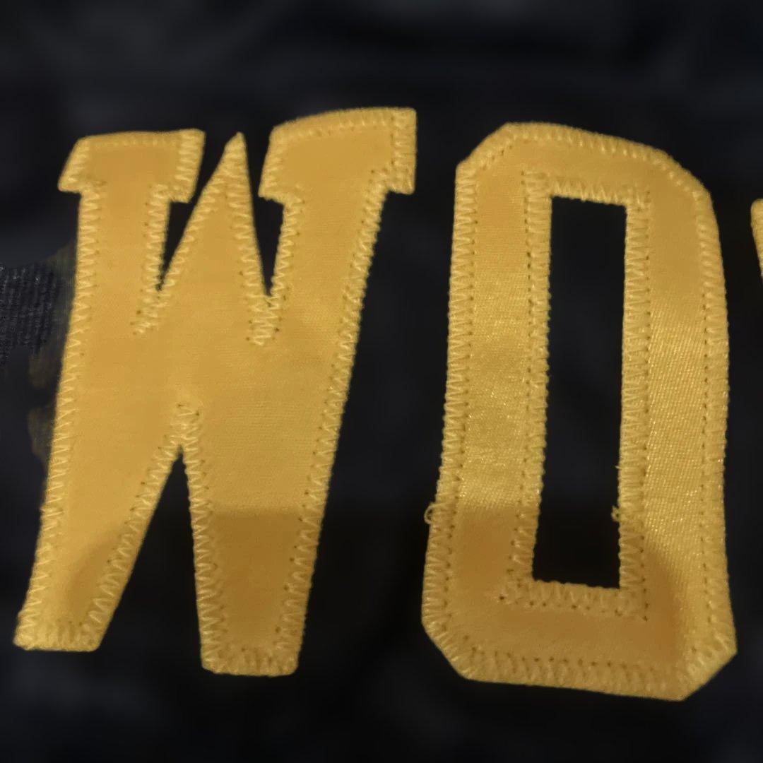 レア　ウッドソン ヴィンテージ ウィルソン プロライン hx usa製