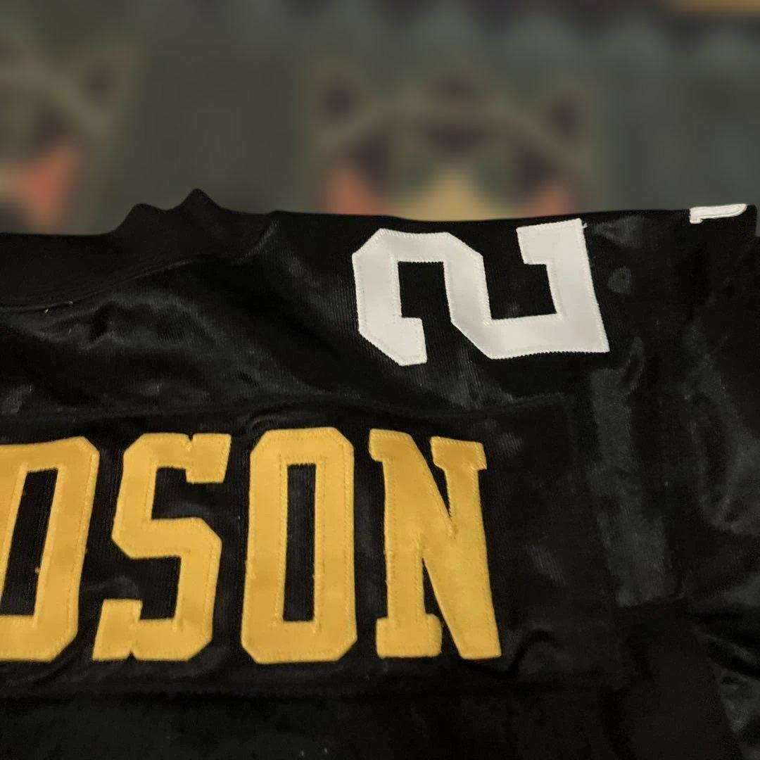 レア　ウッドソン ヴィンテージ ウィルソン プロライン hx usa製