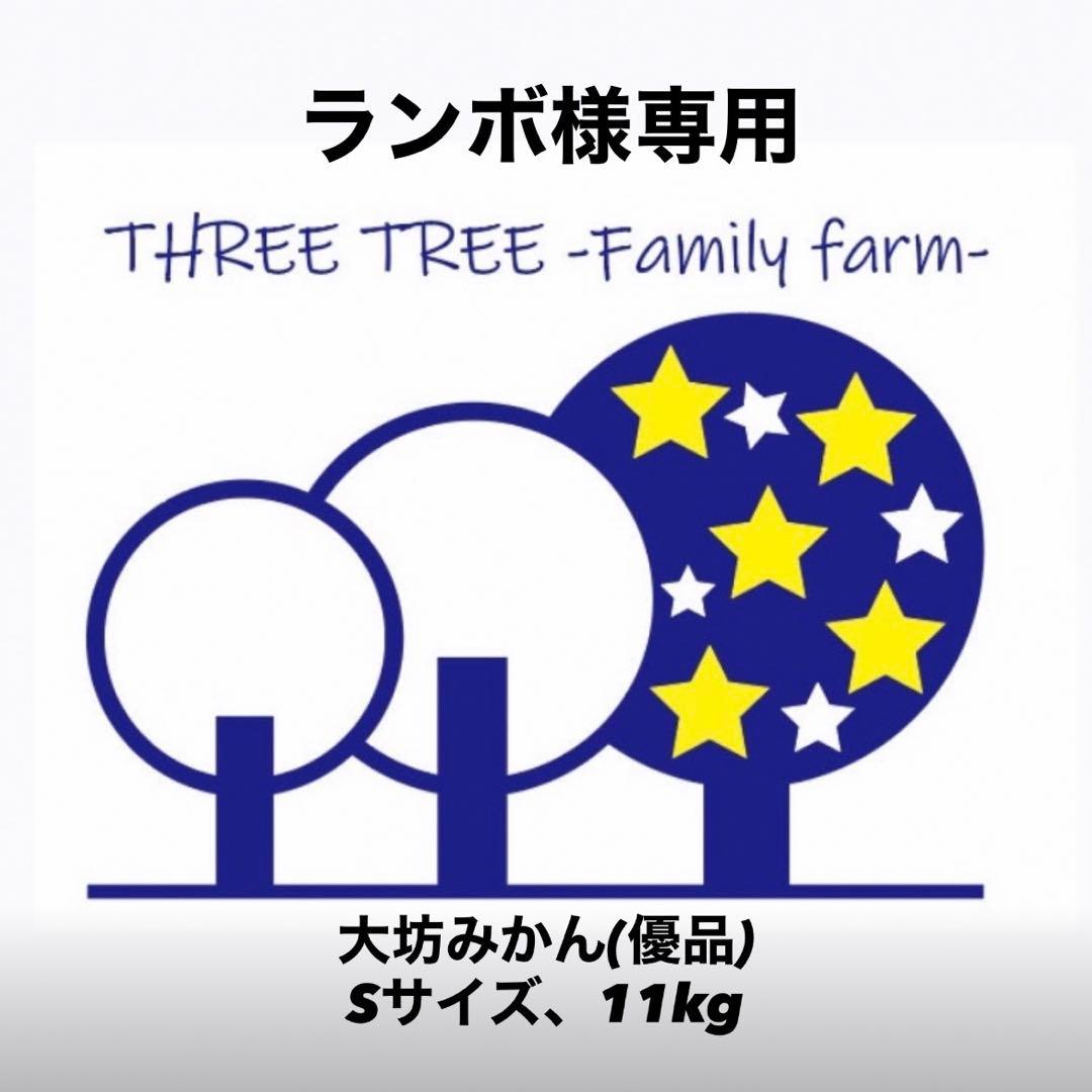 ランボ! 温州みかん 樹熟大坊みかん 優品(家庭用傷あり)Sサイズ11kg