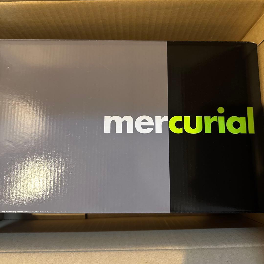 ナイキマーキュリアルスーパーフライ10 xエアマックス 95 SE 27.5cm