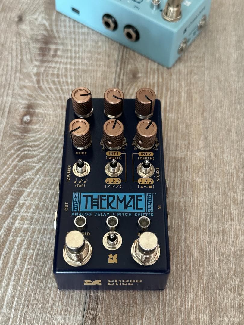 ギター Chase Bliss Audio Thermae