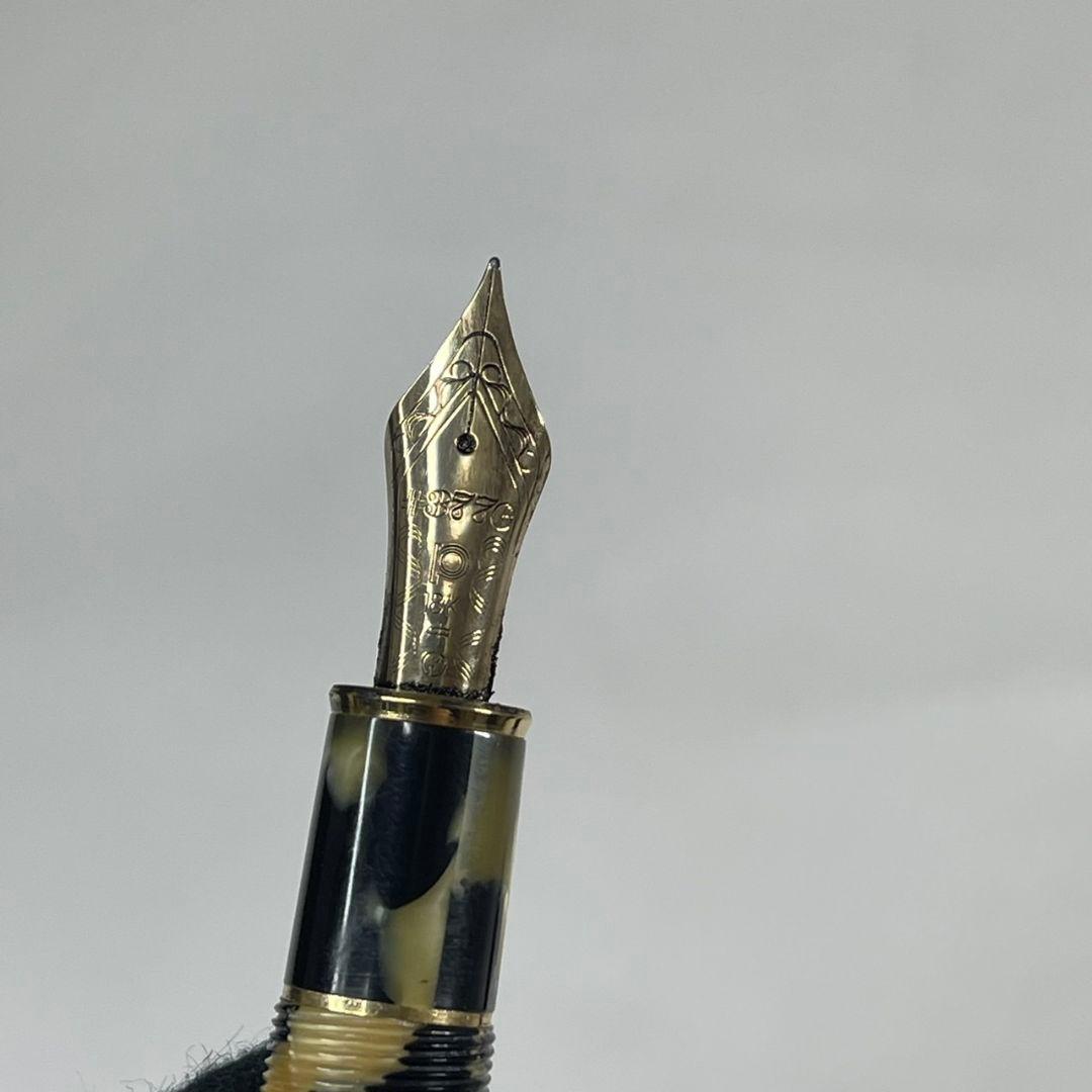 プラチナ 18k 万年筆 3776 セルロイド 石垣柄 中字