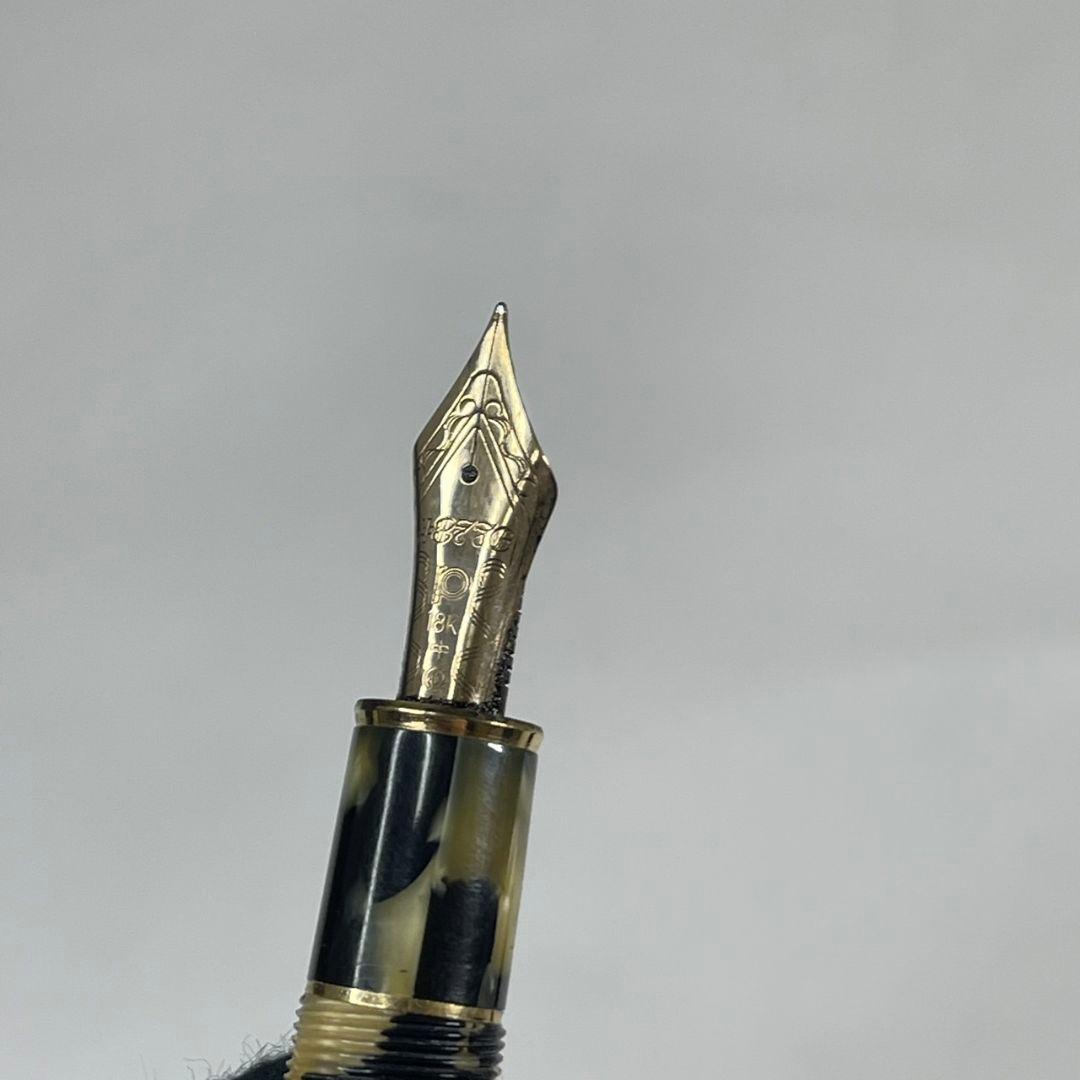 プラチナ 18k 万年筆 3776 セルロイド 石垣柄 中字