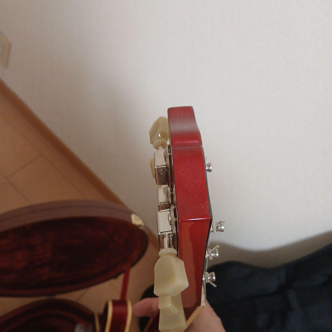 Burny RSA-65 CH ES-335モデル