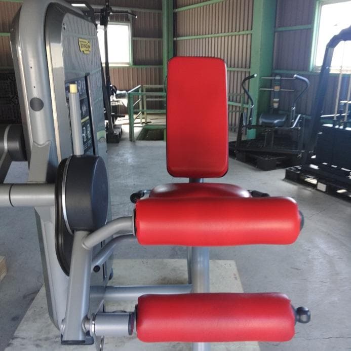 TECHNOGYM レッグエクステンション・カール2台セット（引取り限定）
