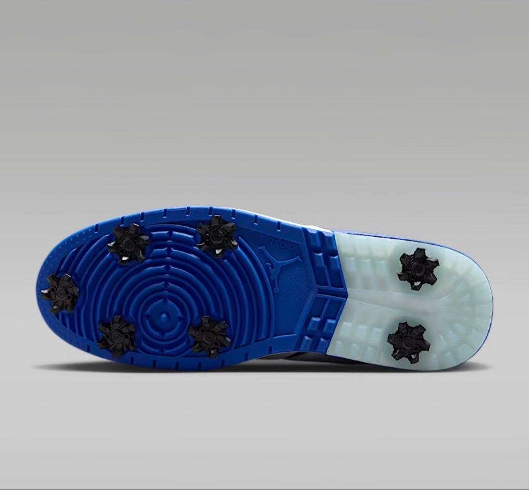 ナイキ ジョーダン NU レトロ 1 G 28.5