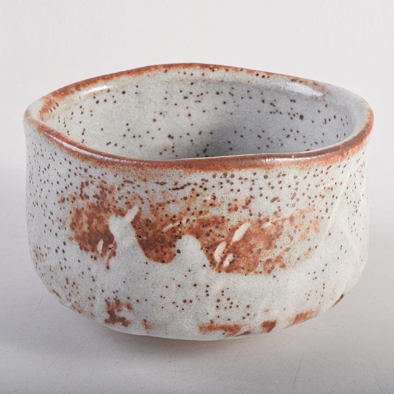 昇　荒川豊蔵　桧垣芦ノ絵鼠志野茶碗　銘朗景即中斎極め箱二重箱　DR8770