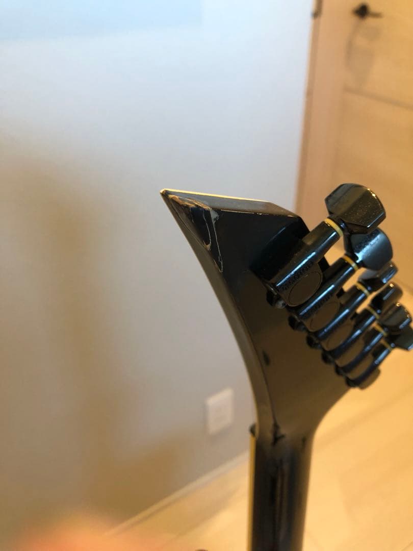 フェルナンデス　TEJ-55B Fernandes 布袋