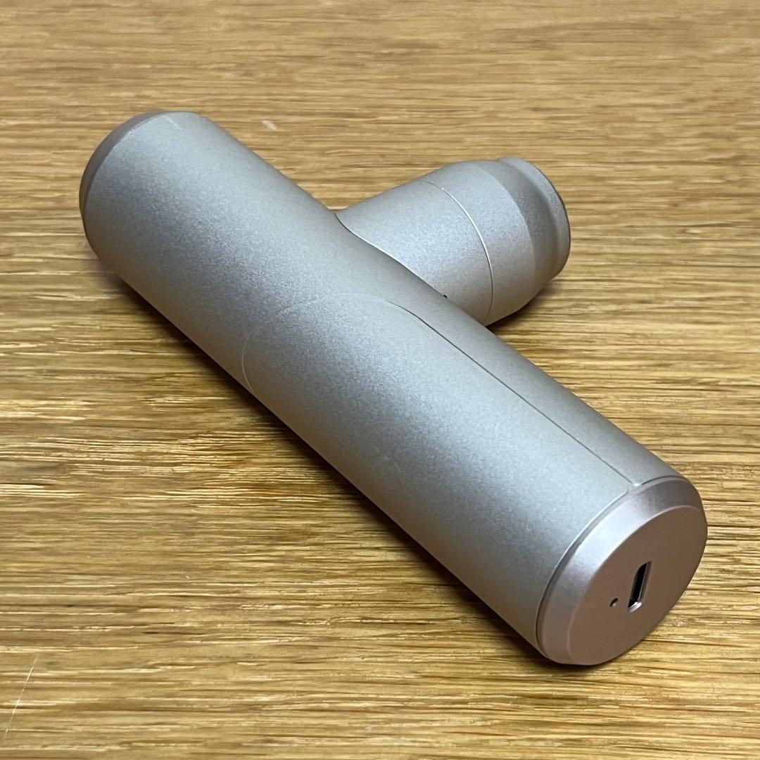 ATEX LOURDES ルルドガン プラスアーム