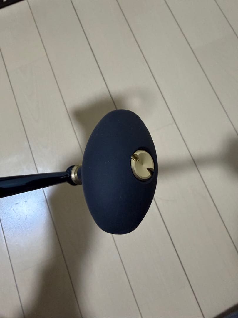 DAIWA 25 SALTIGA 8000-H ダイワ25ソルティガ8000H