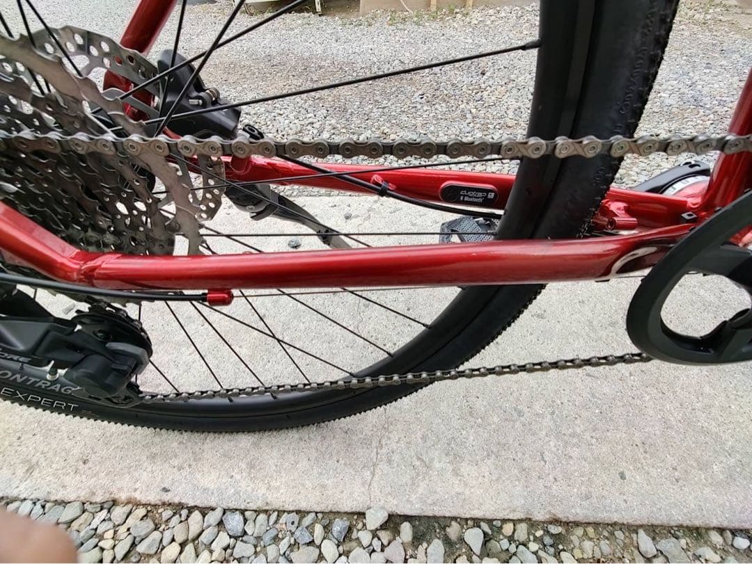 TREK Dual Sport 3 Gen 4（直接引渡し限定）