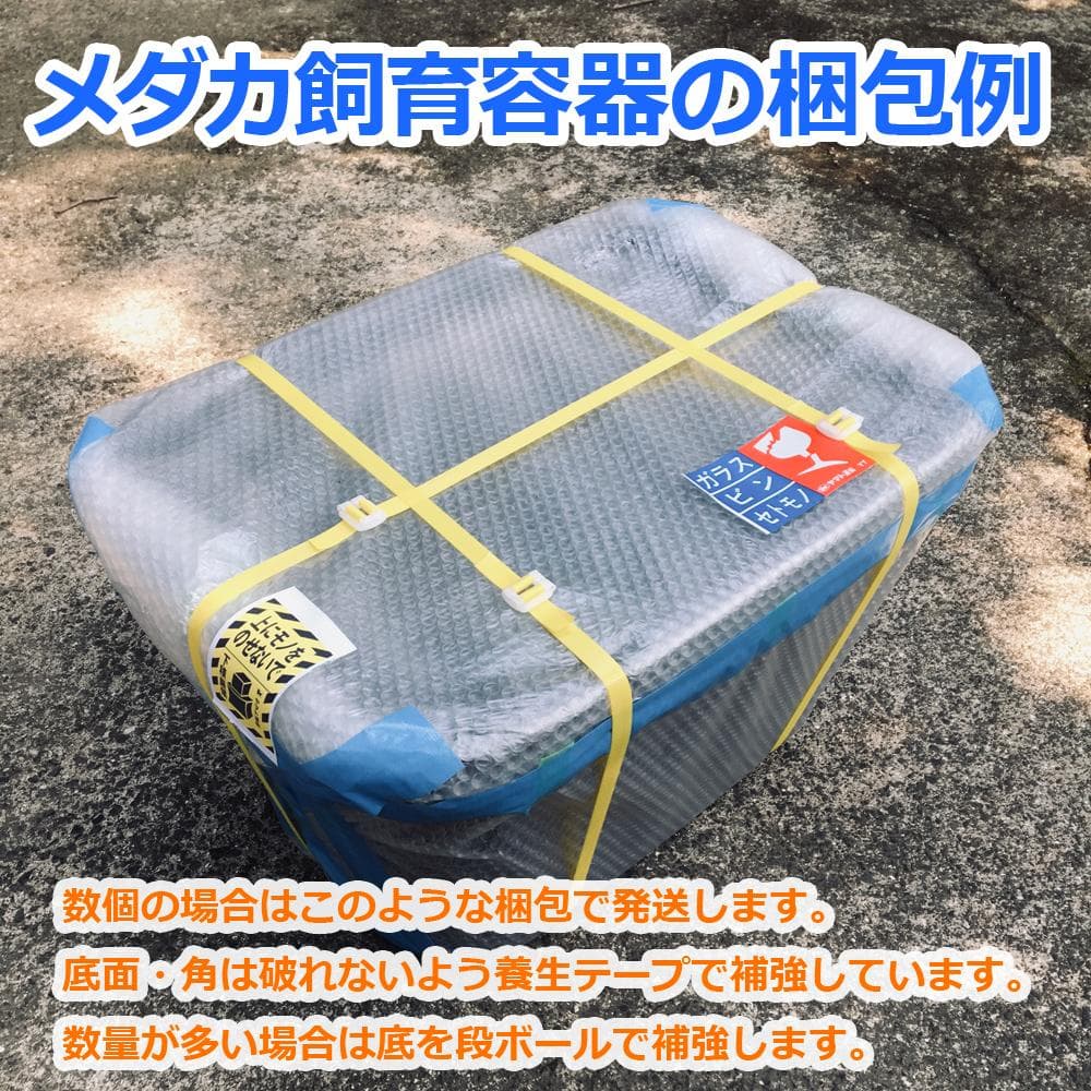 【新仕様】メダカ飼育ケース 75㍑深緑x2個 オーバーフロー対策済 金魚飼育容器