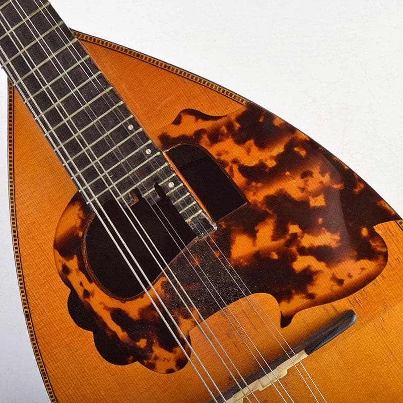 Rokutaro Nakade　中出六太郎　マンドリン　A70　M　R9222B