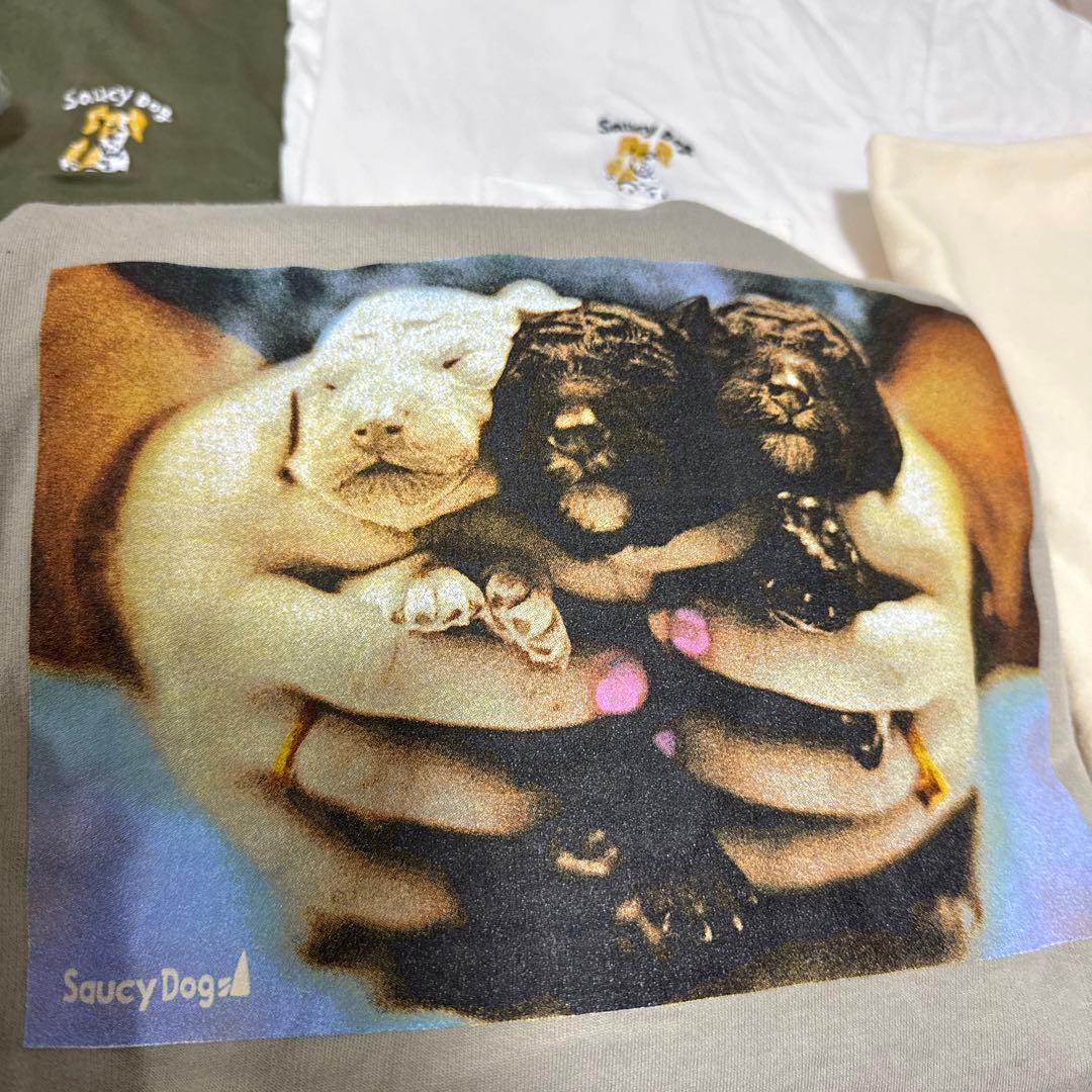 Saucy Dog グッズ まとめ売り