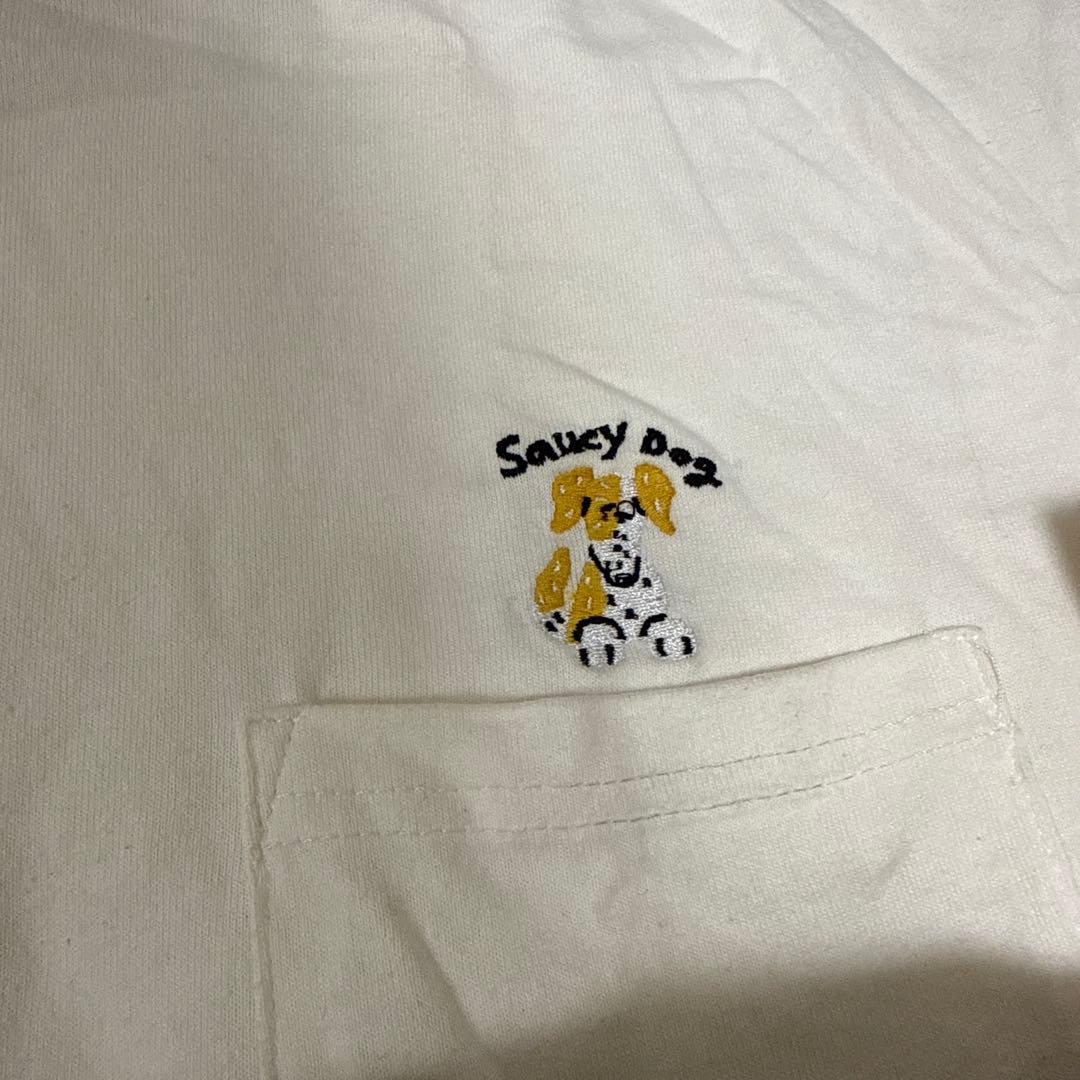 Saucy Dog グッズ まとめ売り