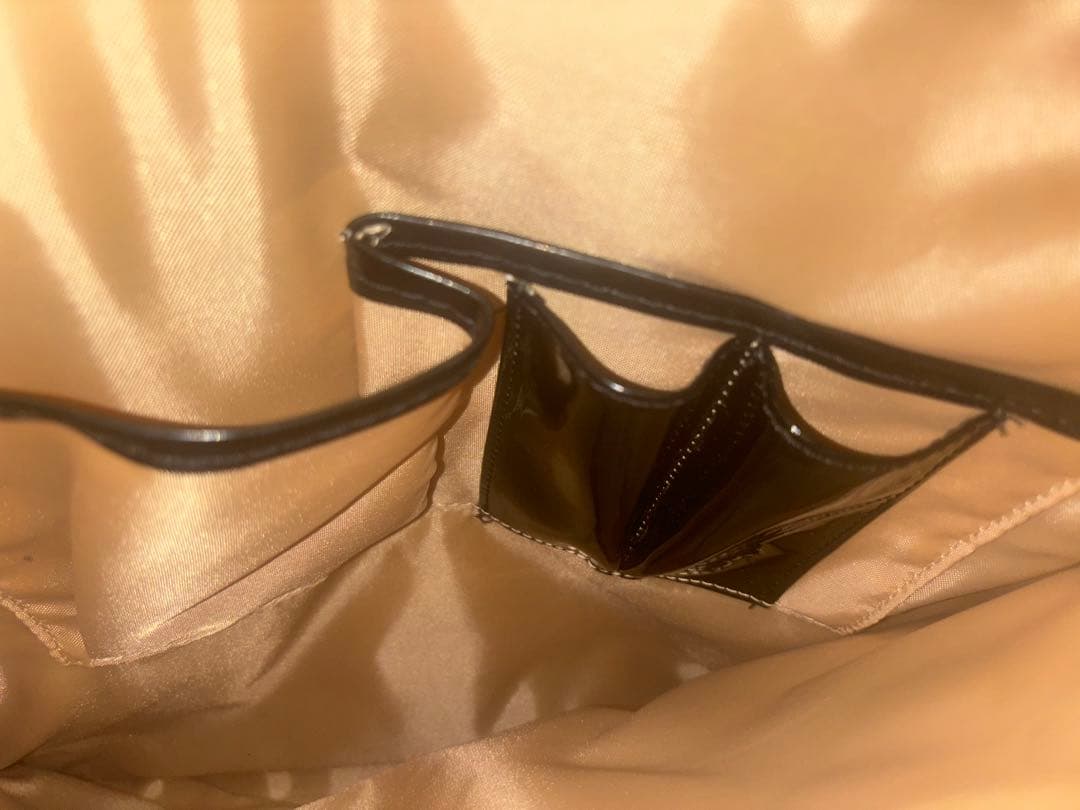 SWANY キャリーカート 、ケース