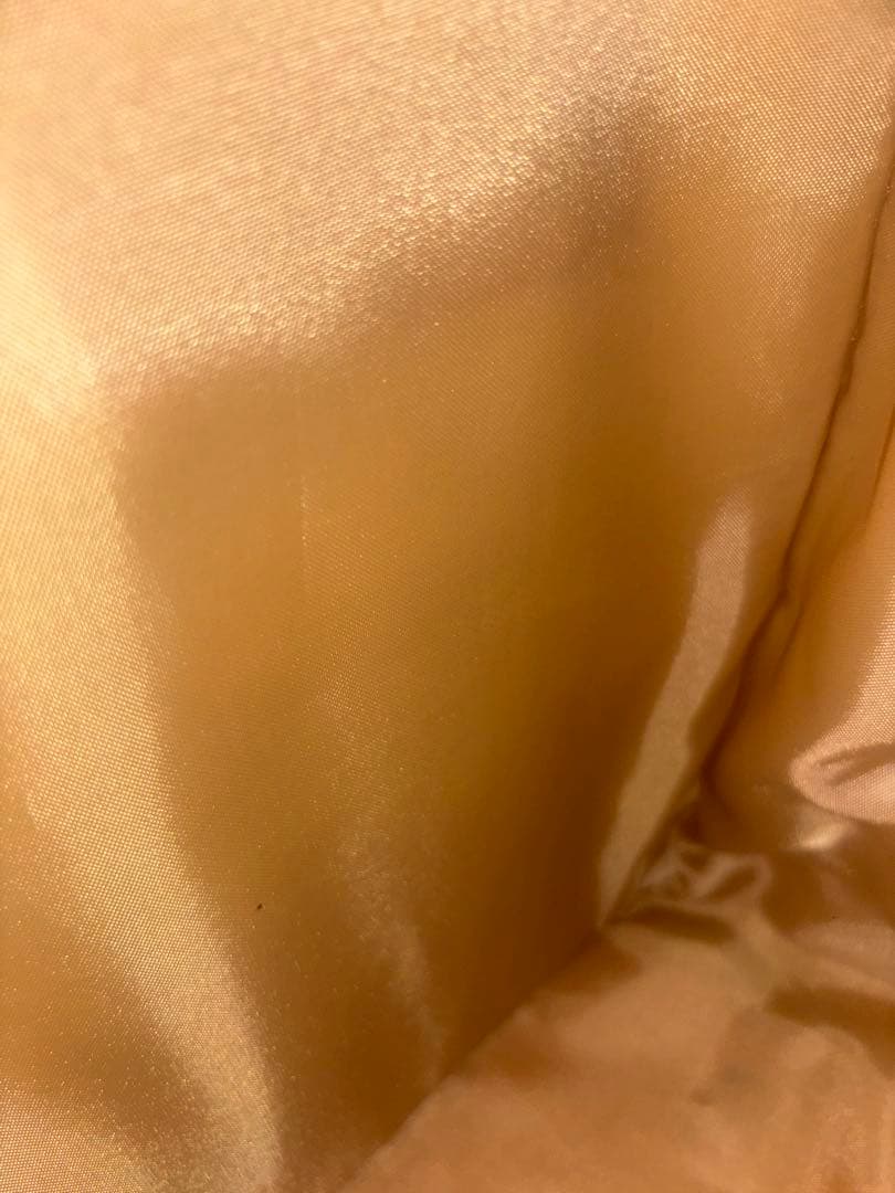 SWANY キャリーカート 、ケース