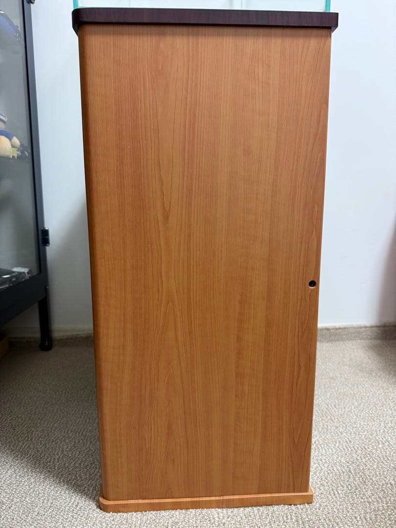 ADA 60cm水槽　コトブキキャビネットセット