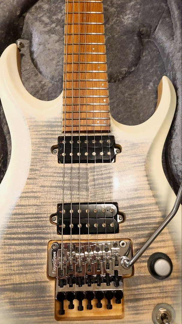 Skervesen Raptor 7 / 7弦ギター