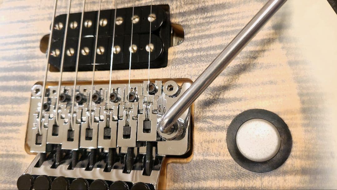 Skervesen Raptor 7 / 7弦ギター