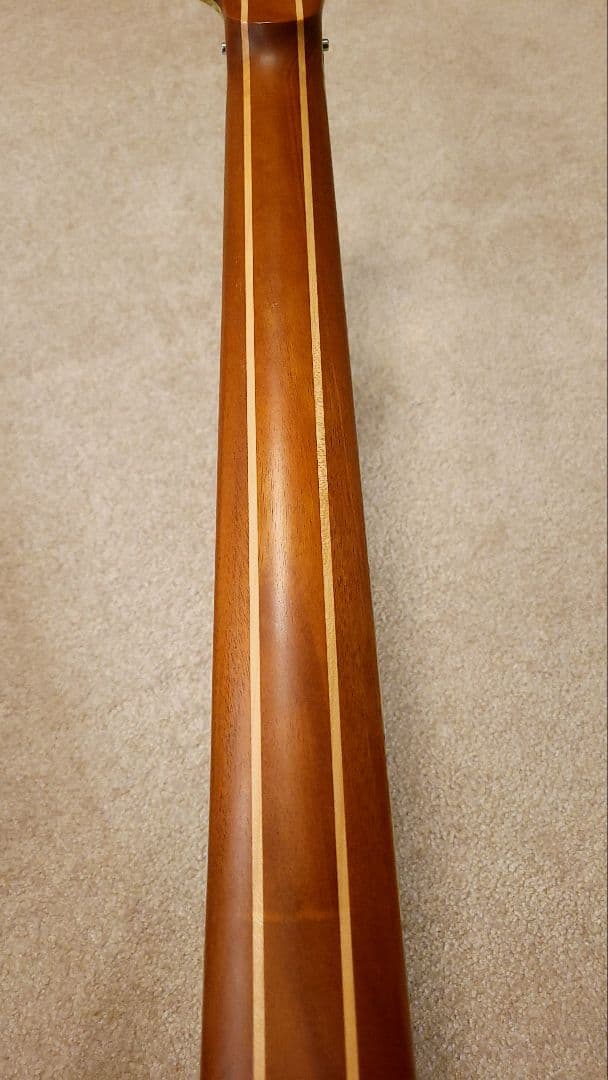 Skervesen Raptor 7 / 7弦ギター