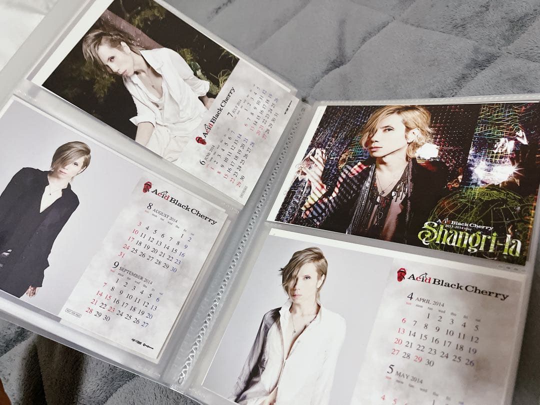 【美品】Acid Black Cherry トレカ 18枚 ポストカード 他