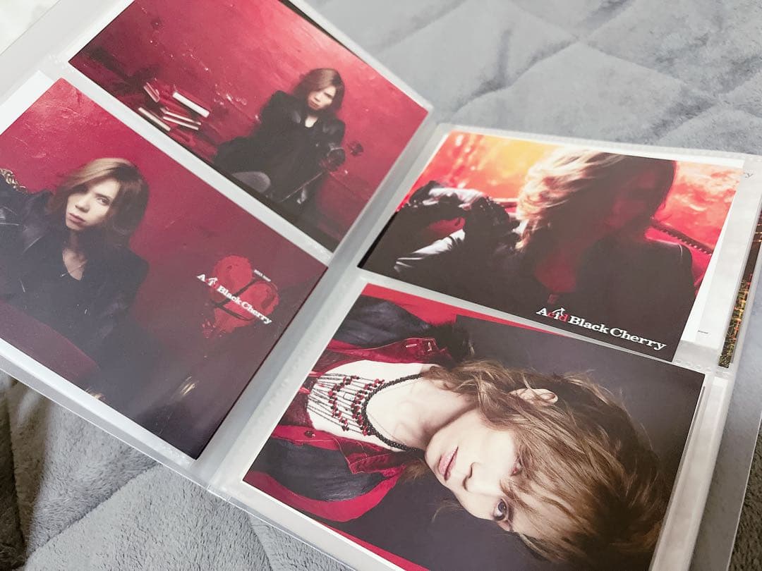 【美品】Acid Black Cherry トレカ 18枚 ポストカード 他