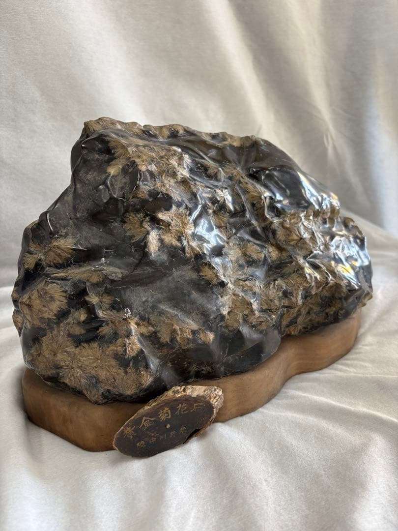 黄金菊花石　岩手県　陸中川井産　天然石