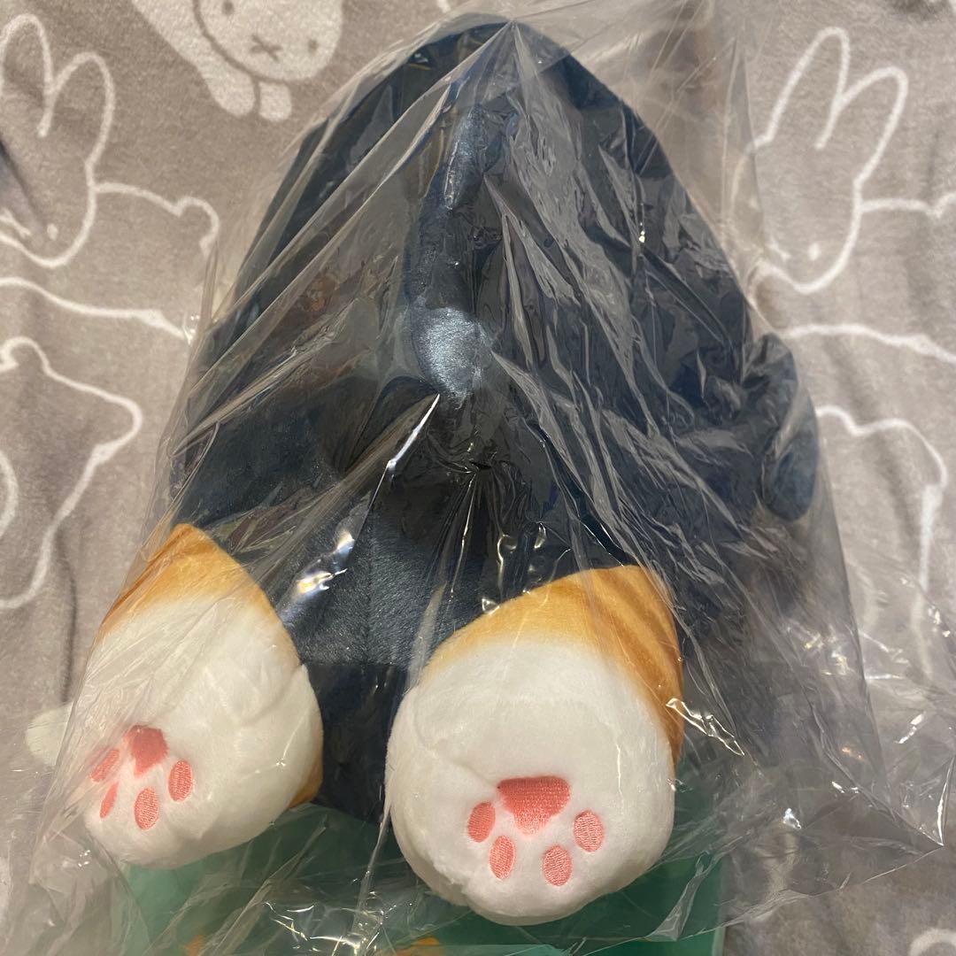 【mofusand サメにゃんズ くじ】A賞 超特大 ぬいぐるみ モフサンド