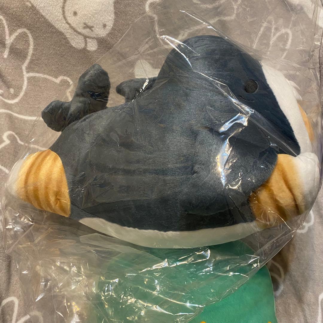 【mofusand サメにゃんズ くじ】A賞 超特大 ぬいぐるみ モフサンド