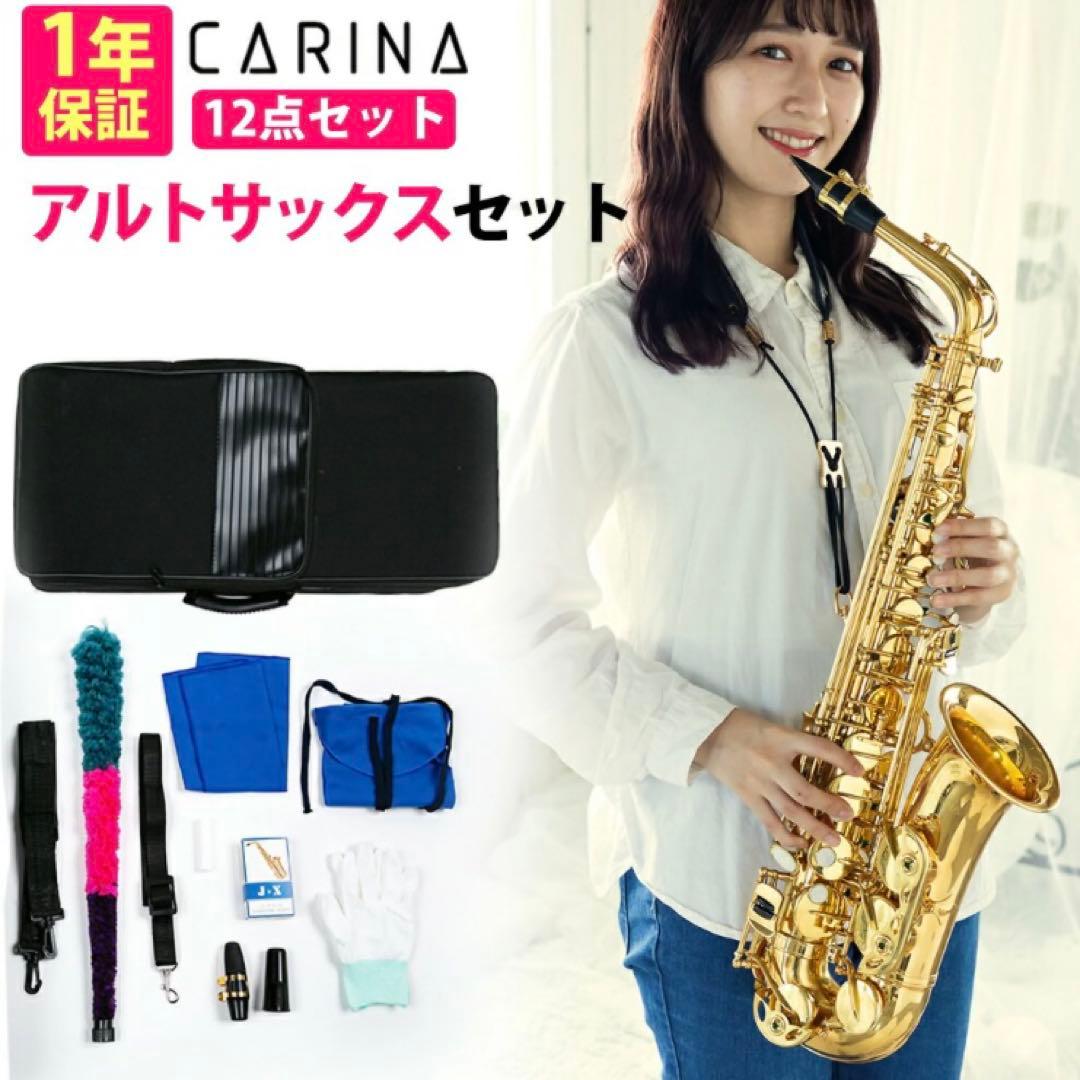 【くまぞう】アルトサックス 入門セット 8点　ゴールドラッカー ケース付き